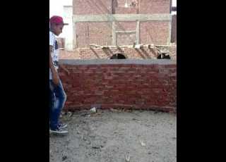 اخو ابراهيم السنجاري علي مهرجان ابو شنب والتوامان ابونعيم الشبح