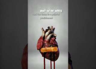 في قلوبهم مرض فزادهم الله مرضا احمد العجمي سورة البقرة