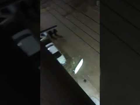 صواريخ رمضان وجمالها