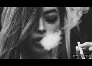 آهنگ توریالی شوقی توری زلفی که شانه شانه افغانستان توریالی