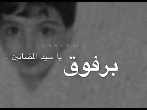 برفوق يا سيد المضانين