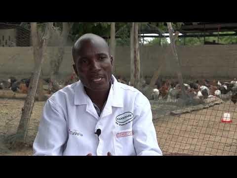 KUKU NI PESA KUKU WANALIPA