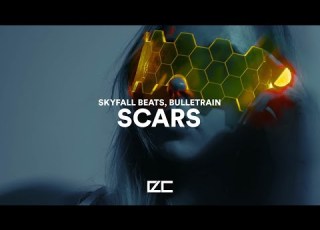 Skyfall Beats Bulletrain Scars