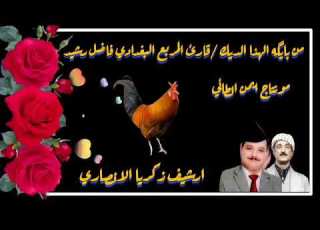 فاضل رشيد مربع بغدادي من بايكه هذا الديج