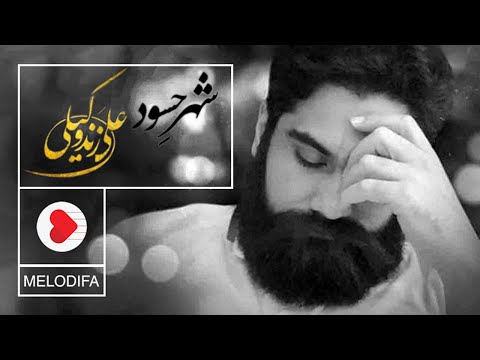 Ali Zand Vakili Shahre Hasoud علی زند وکیلی شهر حسود