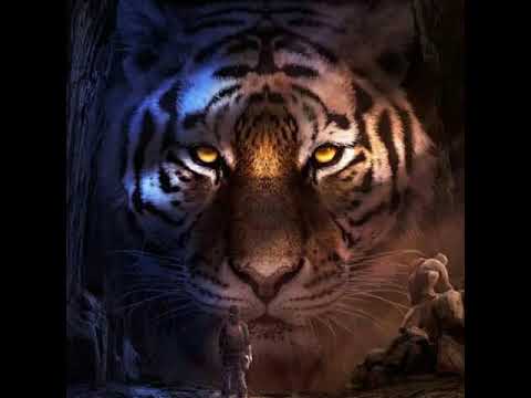 ليت قلبي قد عاصاني اغنية