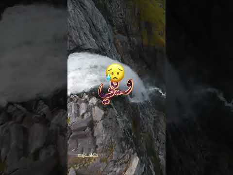 امي وحدا رفيقة دربي