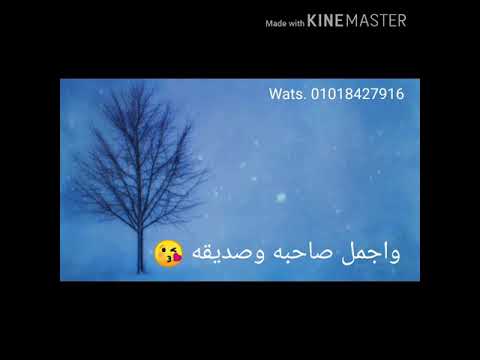 حالات واتس يا اجمل حد في الدنيا 2019 حالات واتس يا اجمل حد في الدنيا 2019