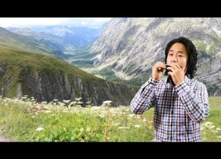 Edelweiss 에델바이스 Harmonica Cover