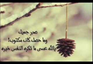 يانور على نور عمرو دياب