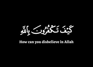 كيف تكفرون بالله ياسر الدوسري سورة البقرة كرومات قران شاشة سوداء
