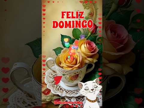 FELIZ DOMINGO TE DESEO UN LINDO DIA BUENOS DIAS FELIZ DOMINGO TE DESEO UN LINDO DIA BUENOS DIAS