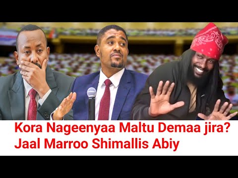 ODUU Hatattamaa Jaal Marroo Shimallis Abiy Marii Godhaani Moha Oromo