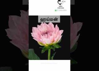  ஒர ப ண ண ன கன ன த தன ம ய அற ய இயல ம Dr Isacc Abbas