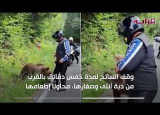 سائح يوثق موته بهجوم دب في رومانيا
