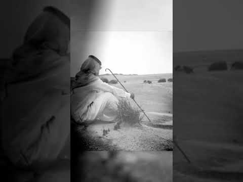 يبدر عيين لاينامن عيوني قصيده شعر حزين جدا عن الحب والشوق والفراق