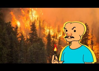 حرائق الغابات ثورة الارض