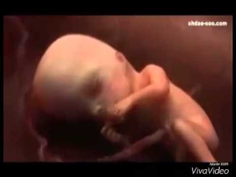 يامن عصيت الله تفكر في خلق الله لك