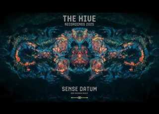 SENSE DATUM The Hive MoDem Festival 2025