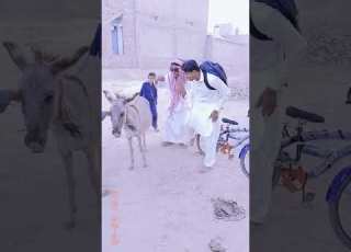 Valla Valla Habibi Habibi Funny Short Video