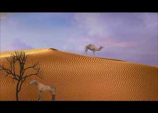 فيديو تصميم صحراء وجمل وحصان