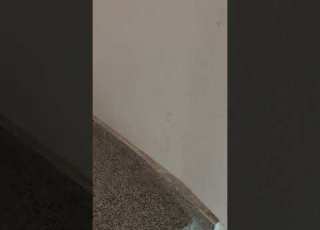  قلبي دليل قلب ماجدة