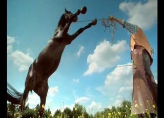 Animal Planet Ident Horse