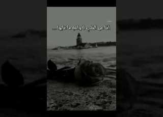  غابو عن العين والأيام تشغلهم