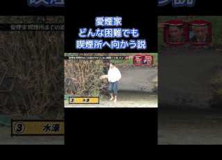 愛煙家どんな困難でも喫煙所へ向かう説 水曜日のダウンタウン