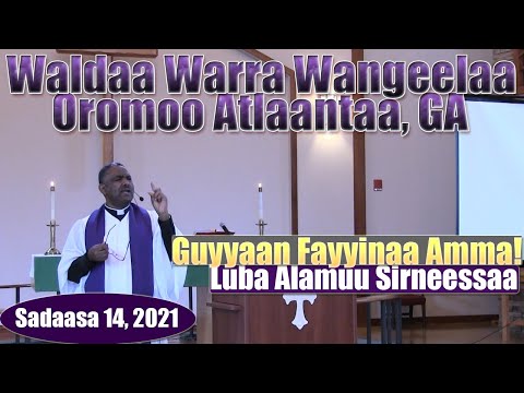 Guyyaan Fayyinaa Amma Luba Alamuu Sirneessaa Sadaasa 14 2021