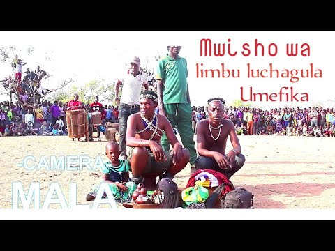 Lung Wecha Muongo Sana Limbu Luchagula Ni Kitu Kingine Kabisa