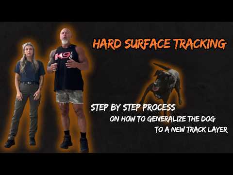 HARD SURFACE TRACKING Step By Step Process On How To Generalize The Dog To A New Track Layer