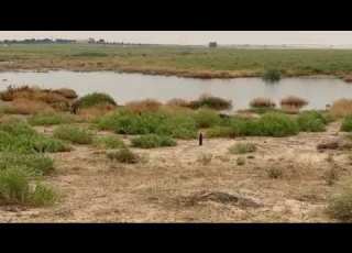  والله اني في محيا وجهك بندر بن عوير