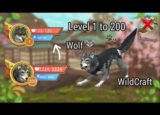  WildCraft Level 1 To 200 Wolf No WildClub