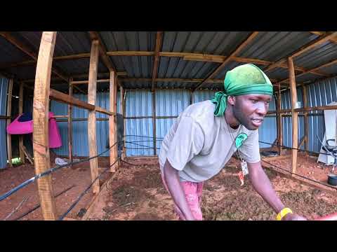 Was Ich Gerade Durchmache Aber Ich Gebe Nicht Auf