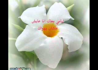  ايامي معاك