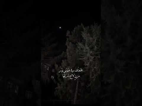 يراودني خيالك كل ماطل القمر وارتاب اكسبلور لايك