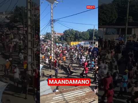 MAANDAMANO Trending Shorts Viral Funny Viralvideo October29 Uchaguzimkuu2025 Freedom MAANDAMANO Trending Shorts Viral Funny Viralvideo October29 Uchaguzimkuu2025 Freedom