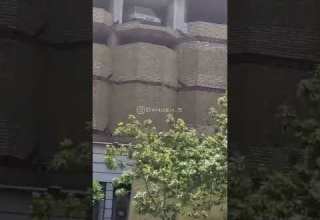 حروم زاده ها من هنوز زندم