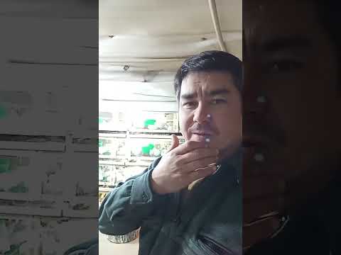 Огох булинг этибордан колдирманг