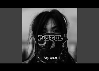  PiSTOL