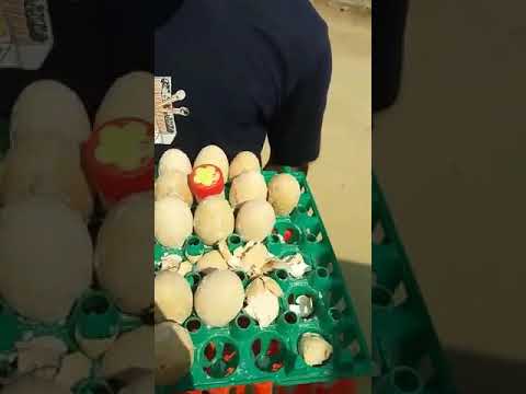 Maajabu Ya Yai Part B