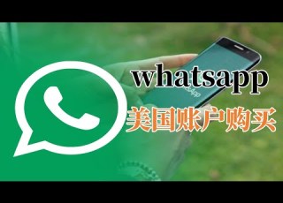  美国WhatsApp账号购买 Whatsapp账号购买平台