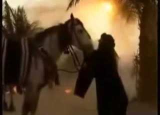  کلی یالمیمون باسم الکربلائی اشترک بالقناه وسوی لایک