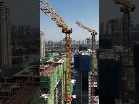 Tower Crane Pouring Concrete Shorts