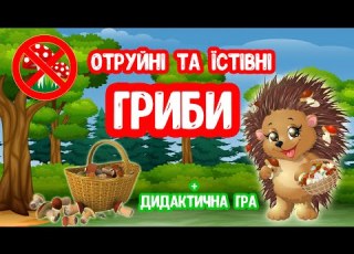  Отруйні та Їстівні ГРИБИ презентація для дітей Дидактична Гра