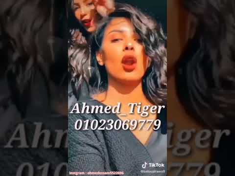 حالات واتس صدي صوت من مهرجان امستر كن حبه وشد بلاستر