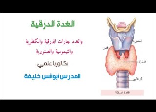 الغدد الصم الغدة الدرقية والغدد جارات الدرقيةوالكظريةوالصنوبرية بكالوريا علمي
