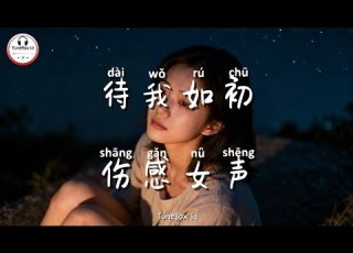  待我如初 伤感女声 Female Version Perlakukan Aku Seperti Sebelumnya Pop Mandarin TikTok Douyin TuneBoxId