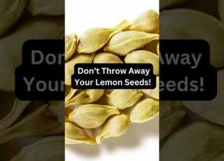 Don T Throw Away Your Lemon Seeds Lemon Healthbenefits
